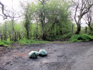 Two bosses charged over fly-tipping business waste