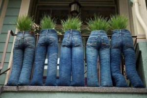 jeans and plants recycling idea