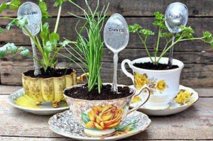 tea cup recycling idea