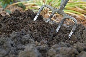 how to make compost