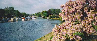 Sunbury-on-Thames