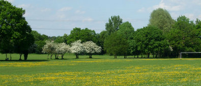 Wickford