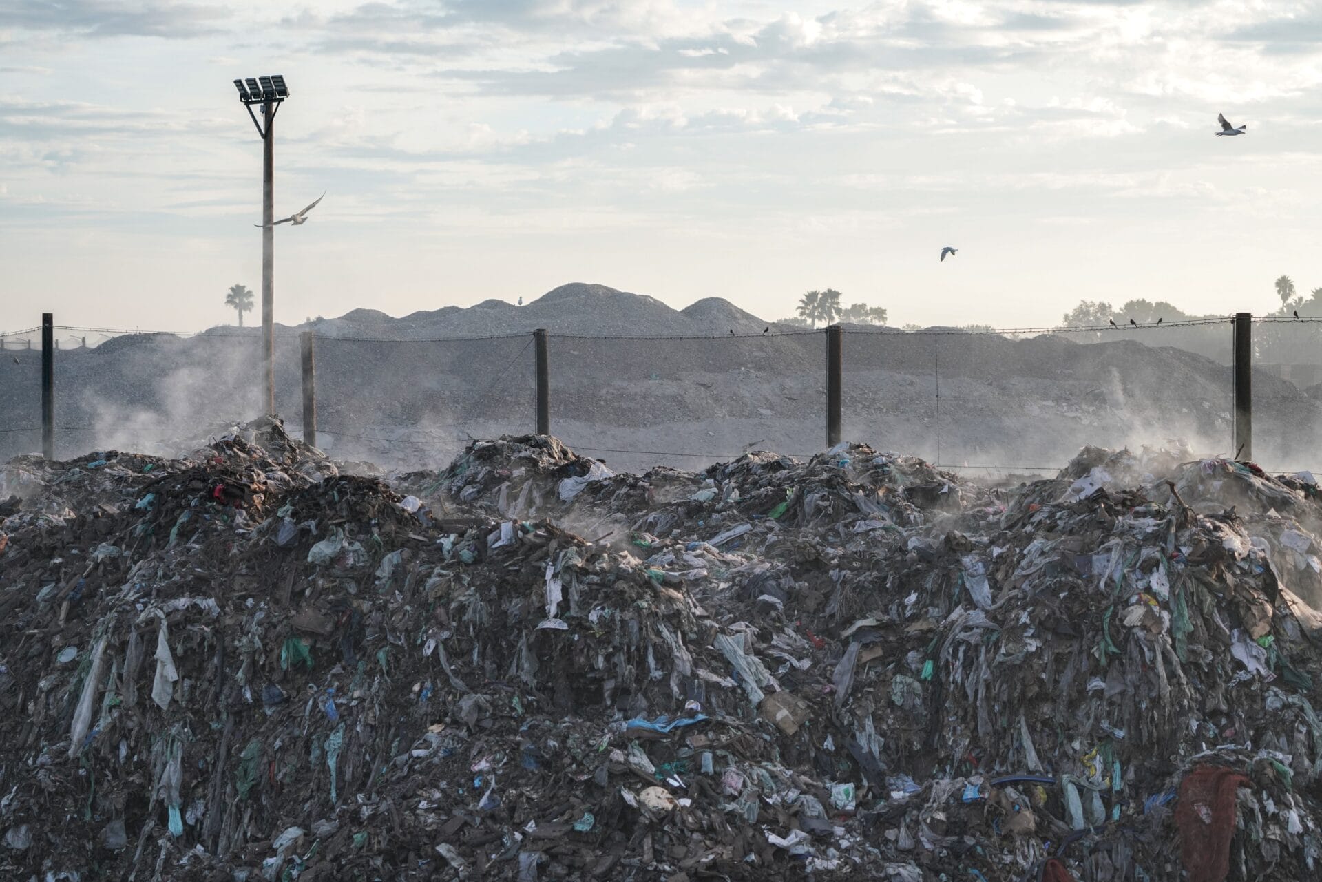 landfill with seagulls flying overhead.