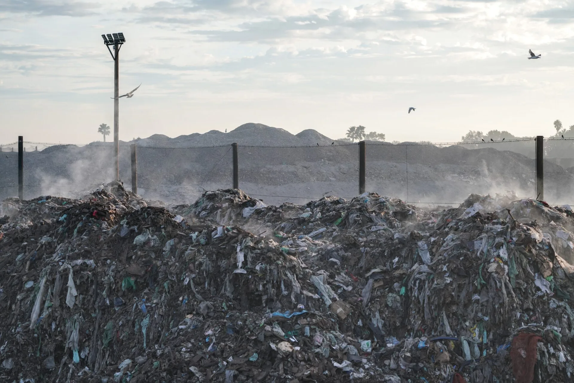 landfill with seagulls flying overhead.