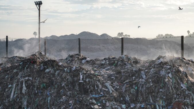 landfill with seagulls flying overhead.