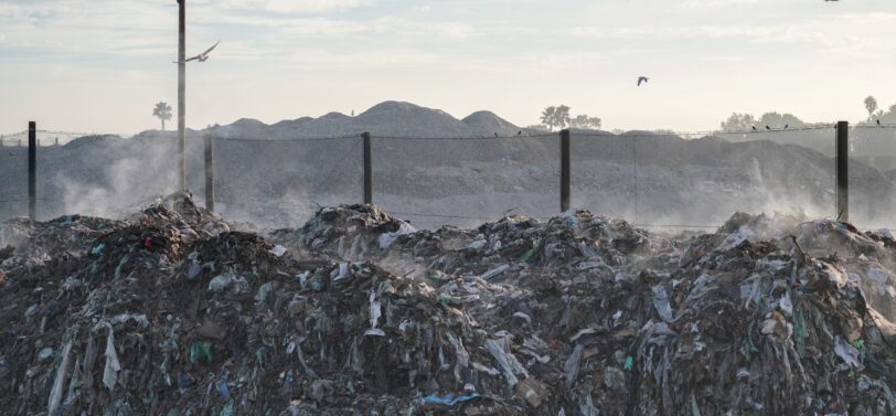 landfill with seagulls flying overhead.