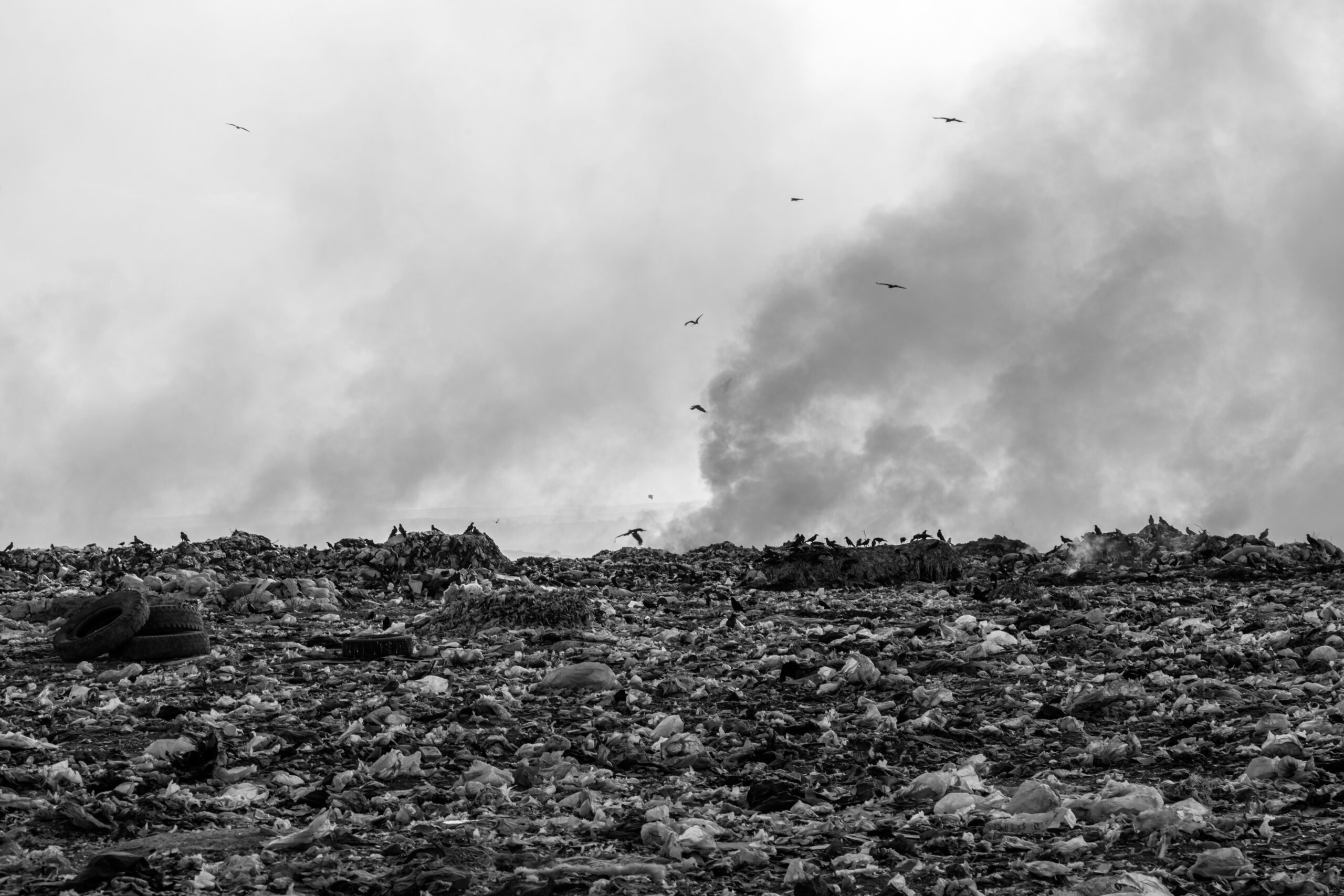 landfill with smoke and birds above.