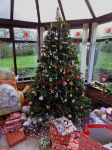 A 'green Christmas' is what the people of North Devon want this year - so don't forget to recycle