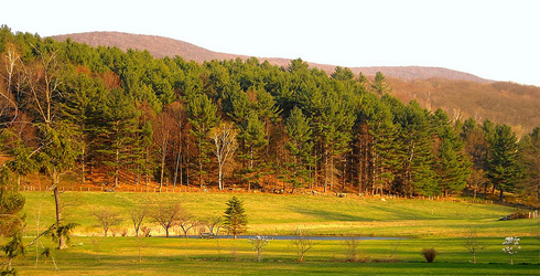 Berkshire