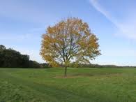 Hertfordshire