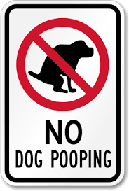 dog poop poster