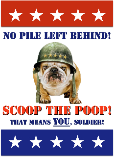 no dog poop poster