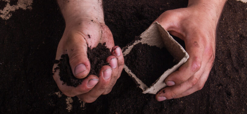 Filling Plant Or Flower Pot With Compost.