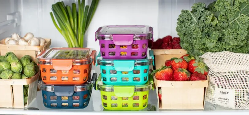 fresh vegetables and tomatoes on a shelf in a fridge.