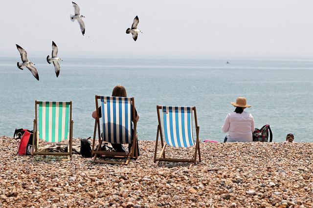 Waste Management Bognor Regis