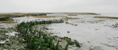 canvey island waste management