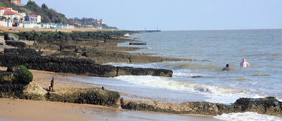 felixstowe-waste-management