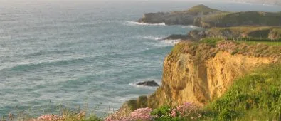 newquay-waste-management