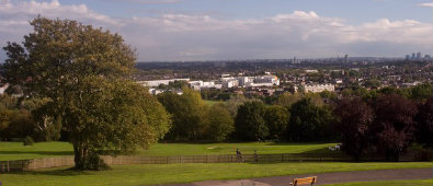 Cambridge waste collection