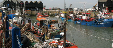 whitstable-waste-management