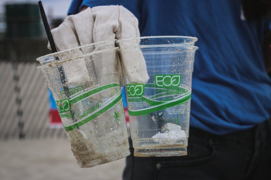 compostable plastic cups at a festival.