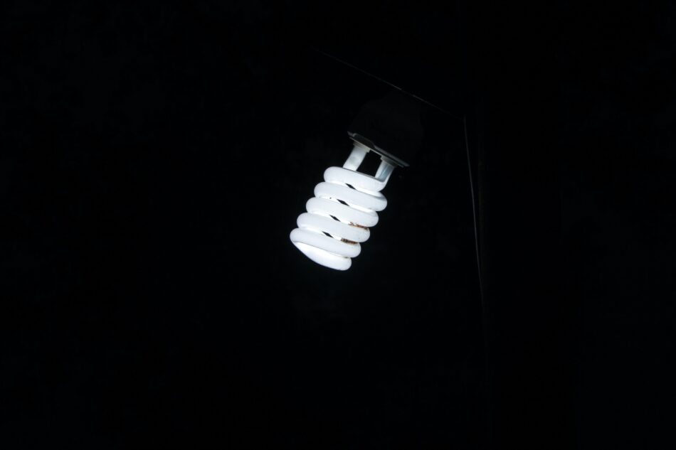 energy saving light bulb on black background.