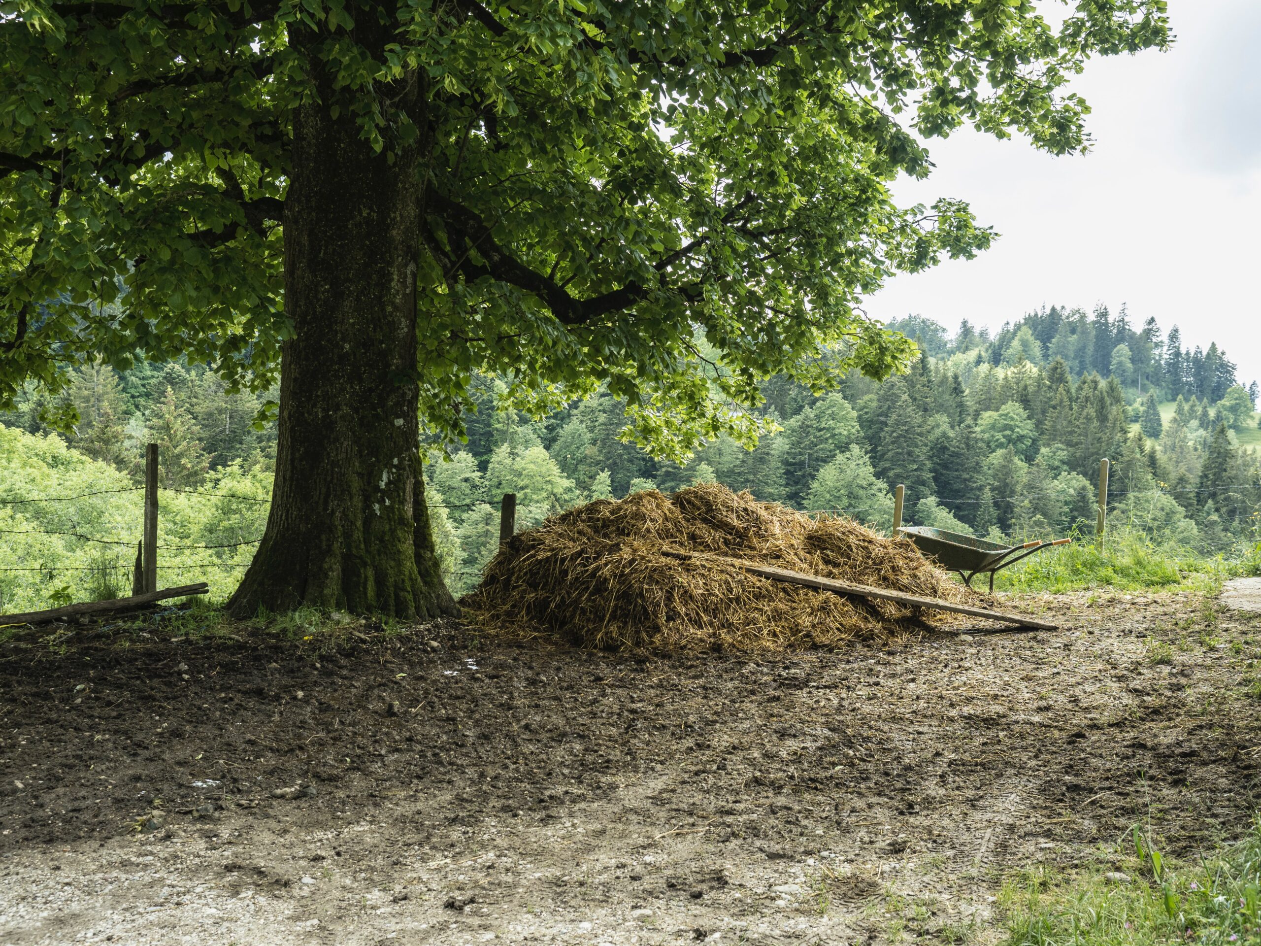 Agricultural Waste Agriculture Waste Management & Farm Waste Bins