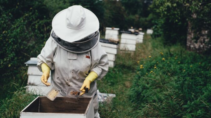 beekeeper and hive.