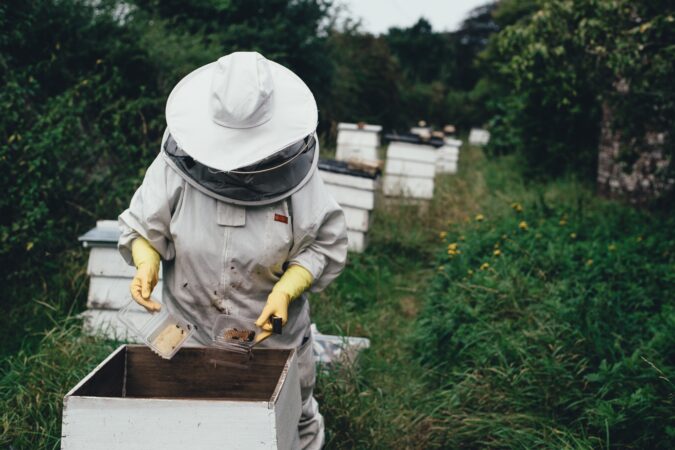 beekeeper and hive.