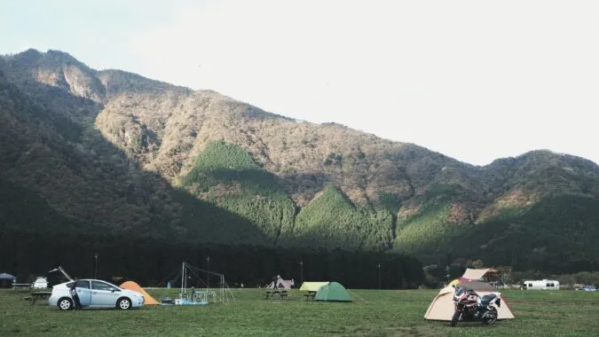 tents camping on grass.