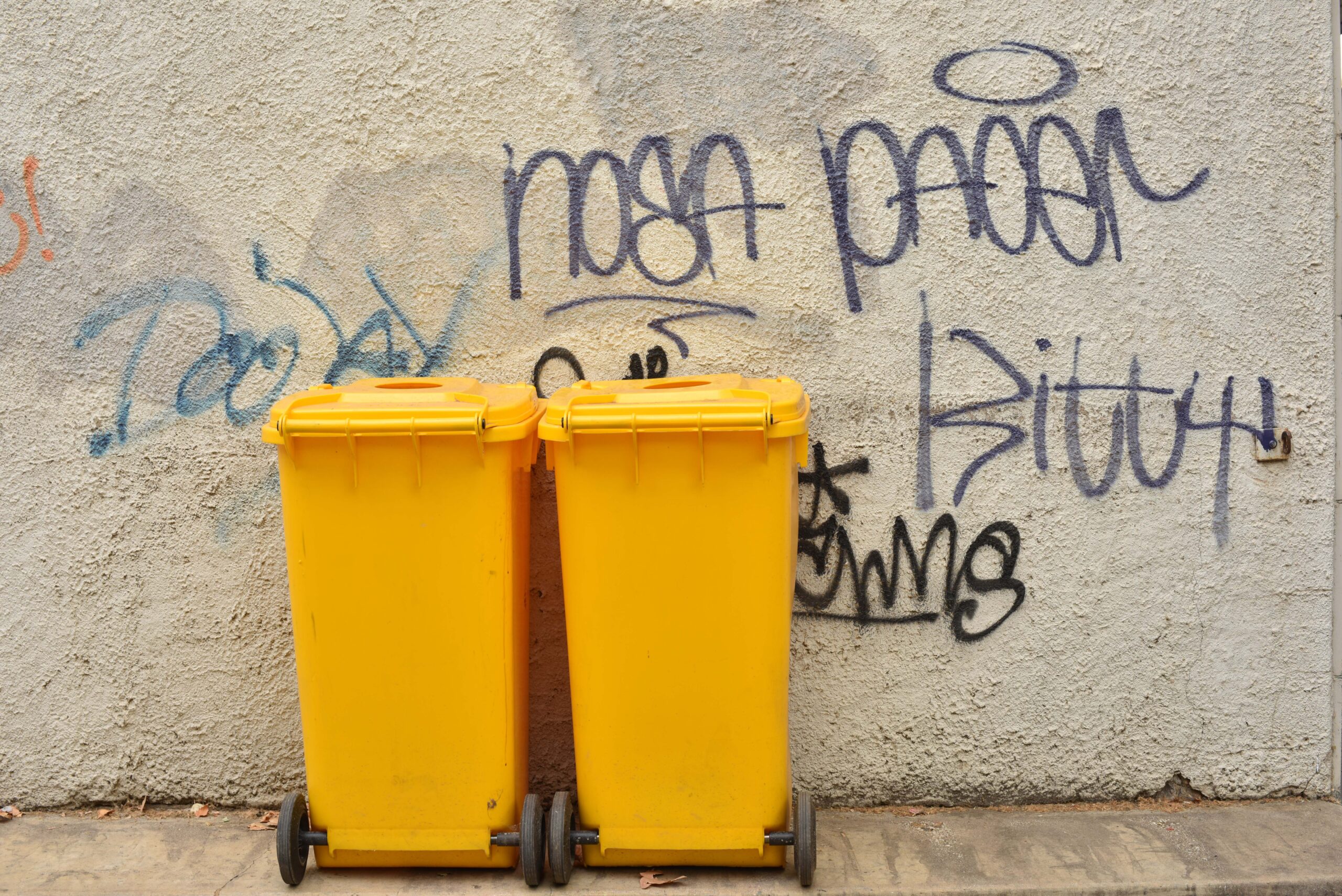 two standard wheelie bins.