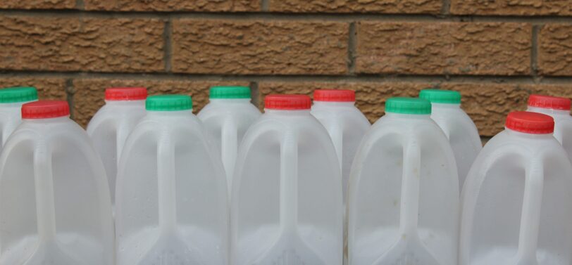 empty to litre plastic milk bottles in a row.