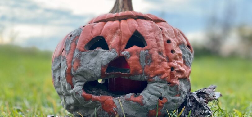 old halloween pumpkin starting to rot on grass.