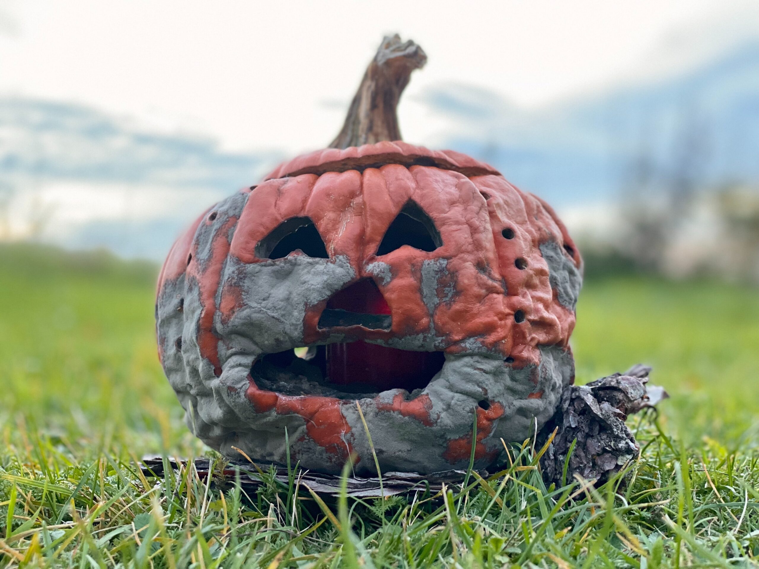 What to do with pumpkins after Halloween | Business Waste