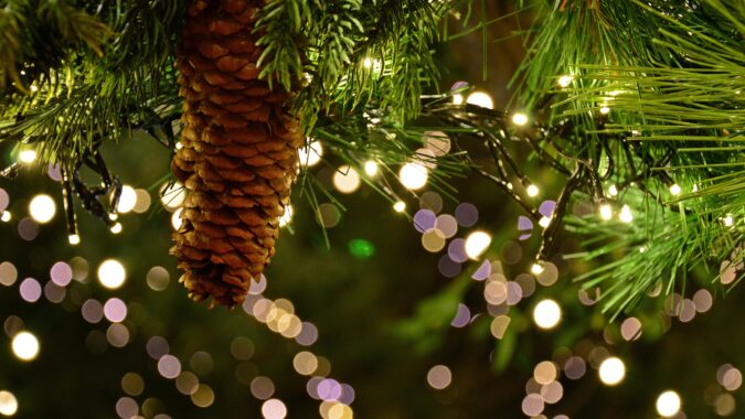 pine cone in Christmas garland.