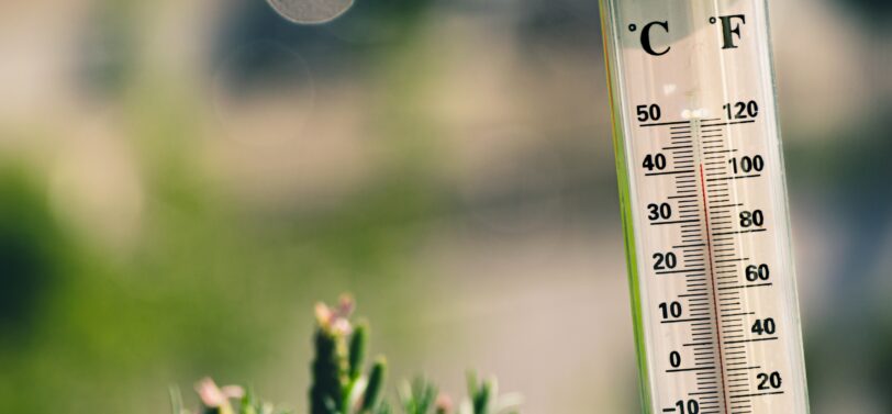 mercury thermometer next to tuft of grass.