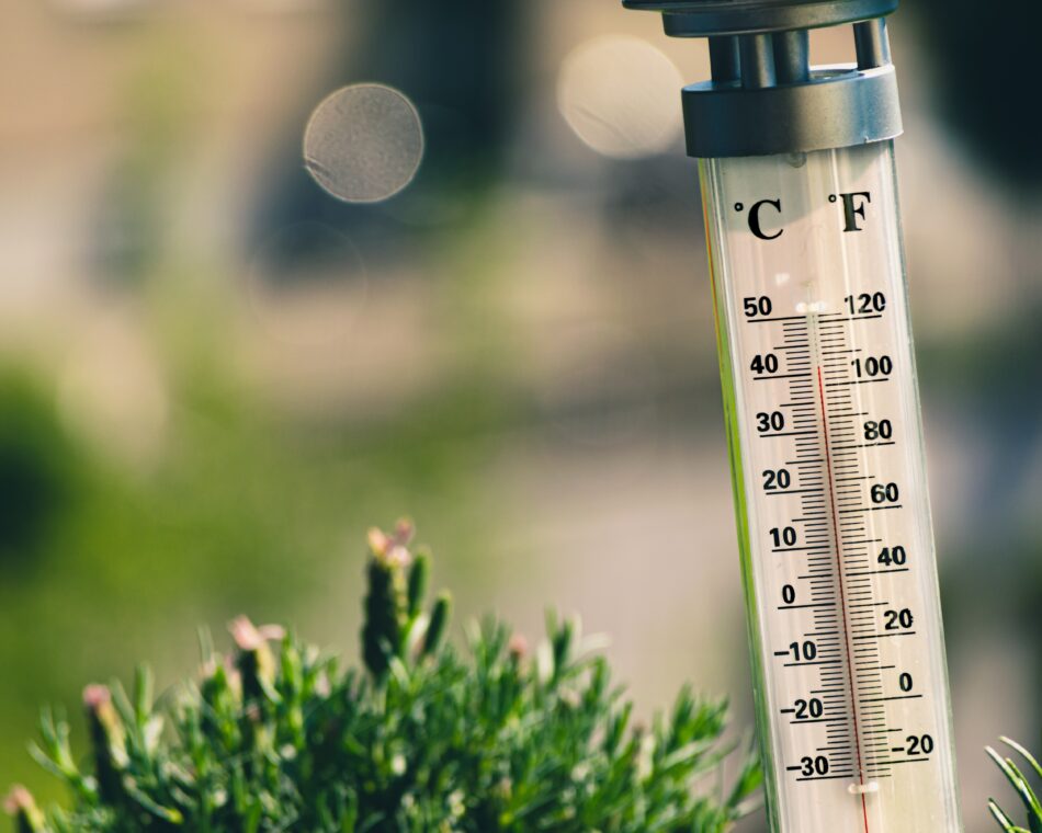 mercury thermometer next to tuft of grass.