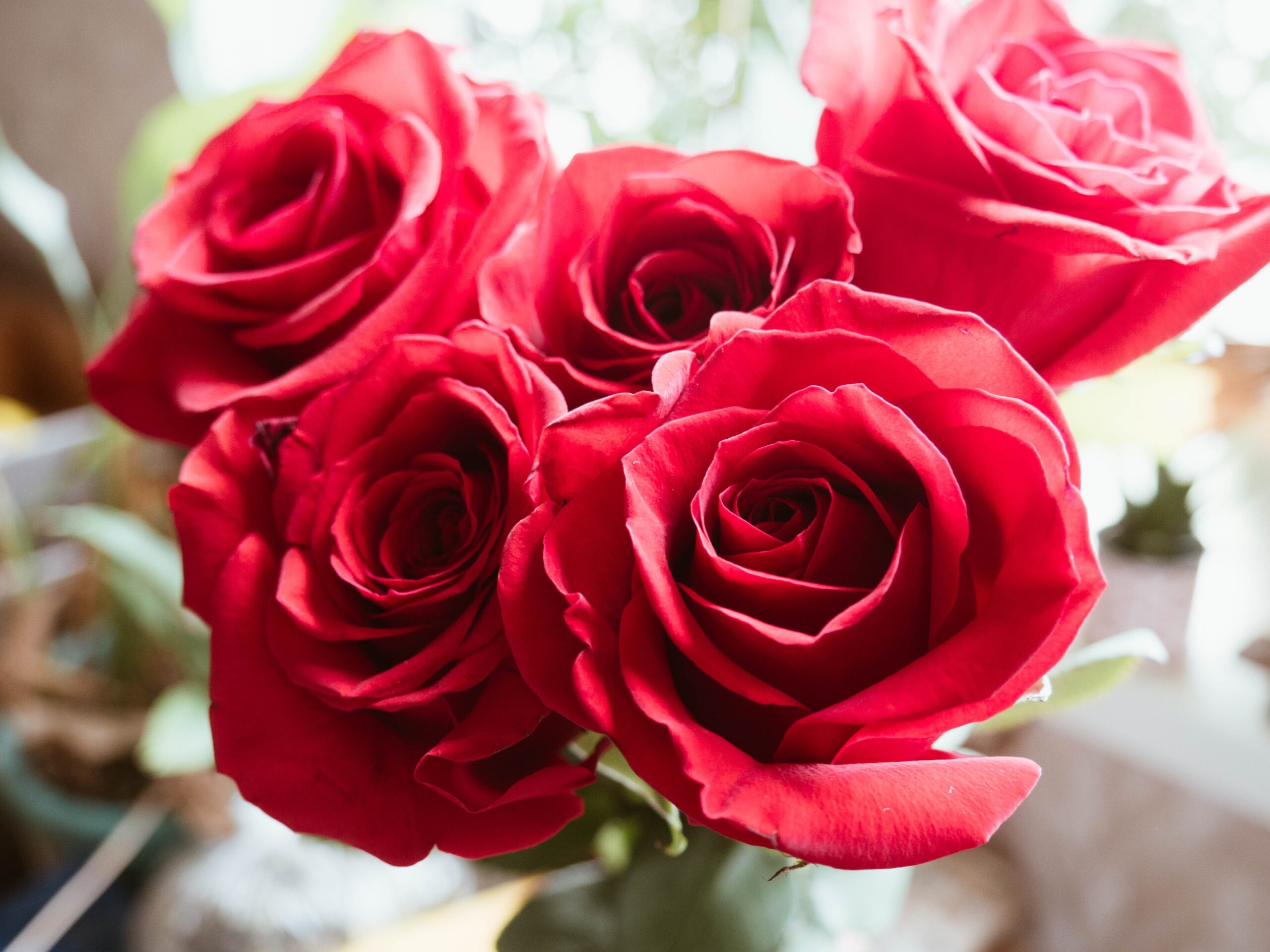 bouquet of five red roses in bloom.