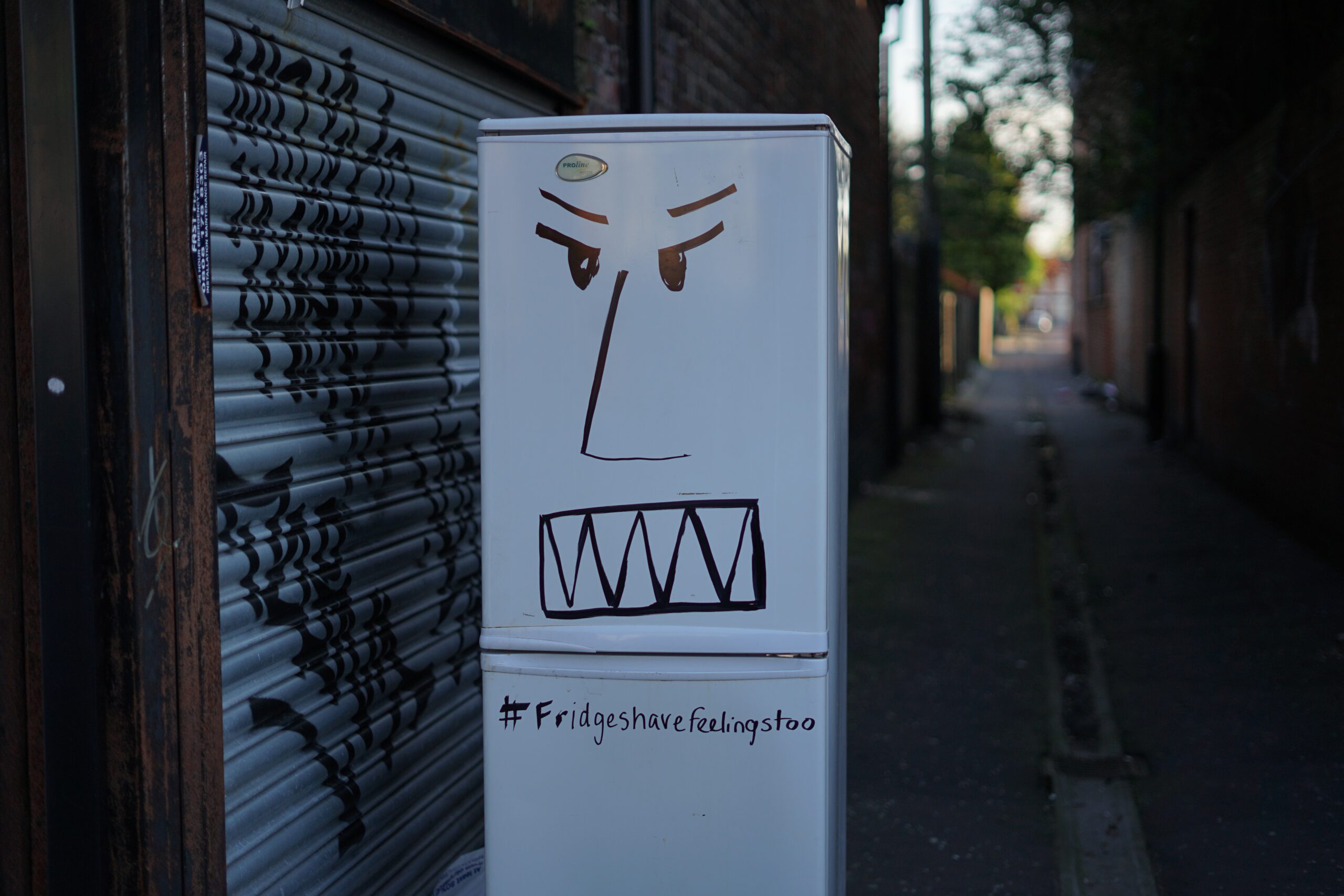 old fridge in backstreet with graffiti face.