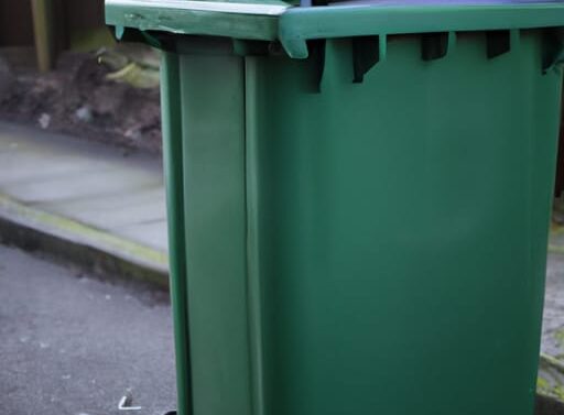 green wheelie bin stood on the street.