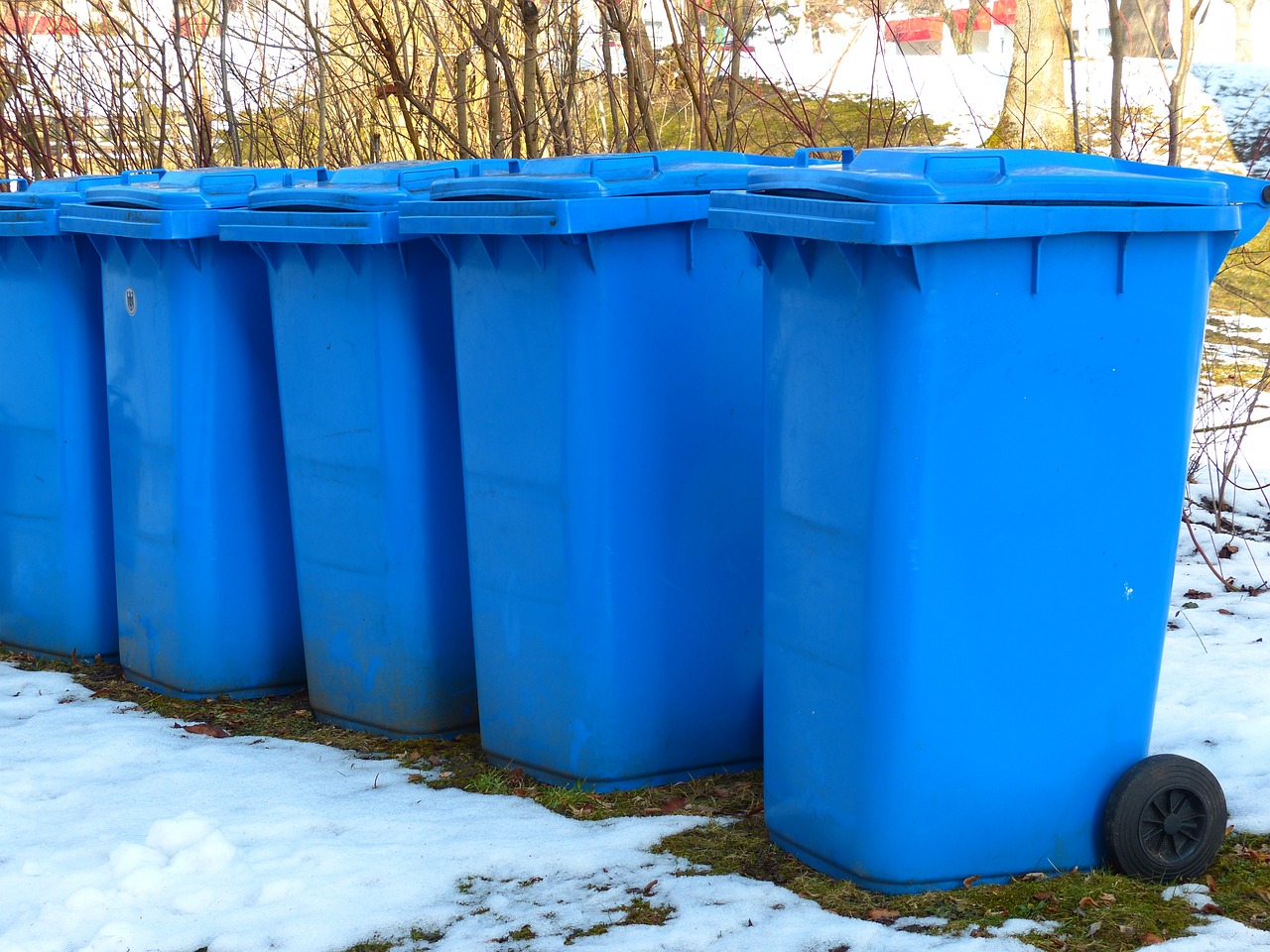 How to Get a Council Wheelie Bin: Can You Buy Your Own?