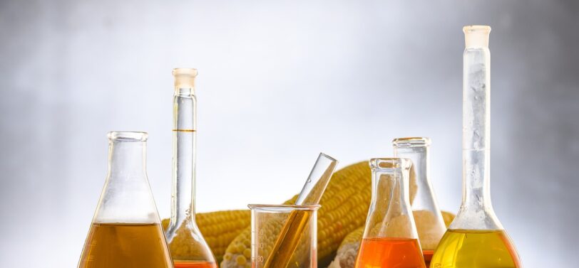 test tubes full of biofuel with corn on cob behind.