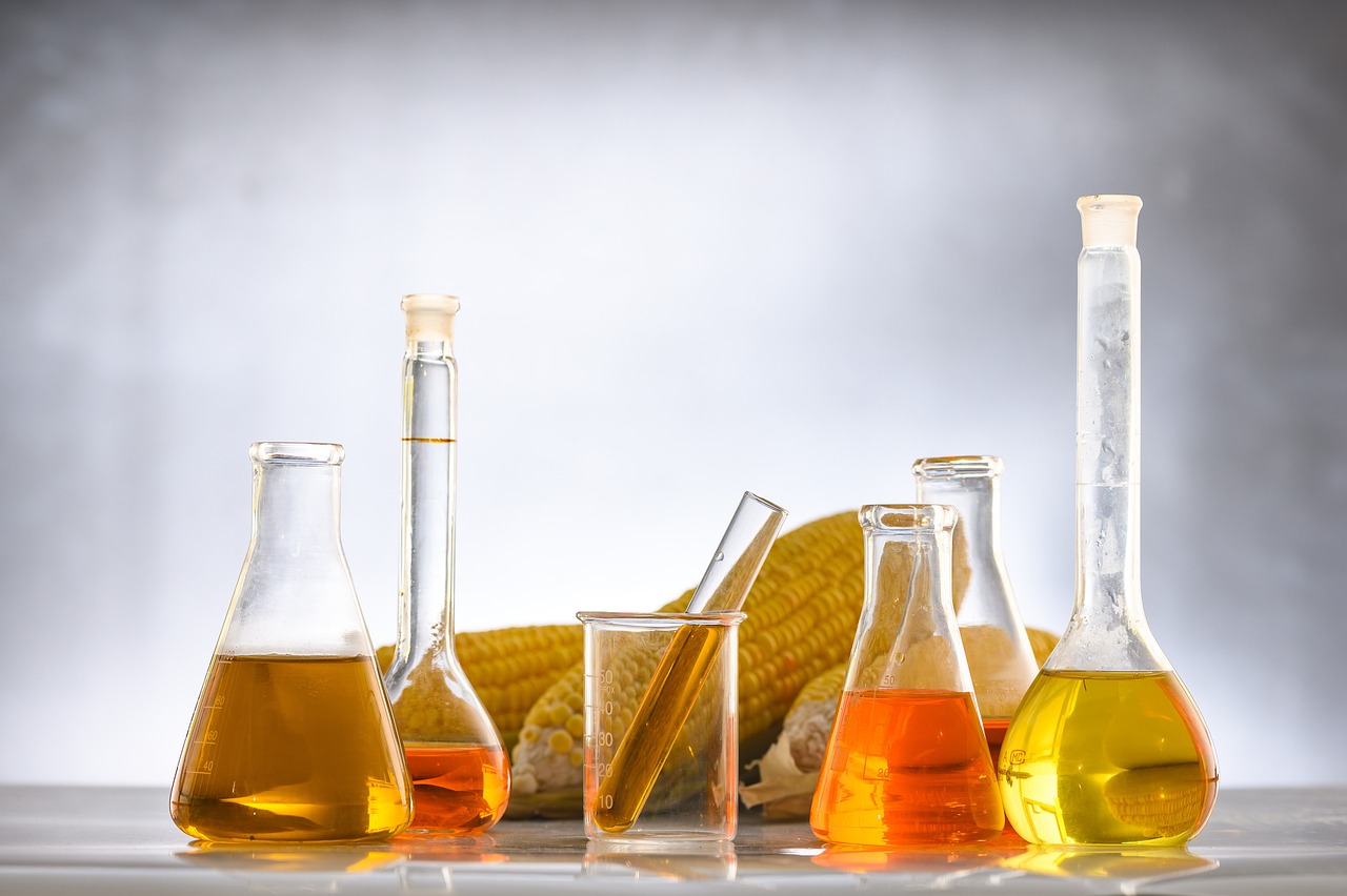 test tubes full of biofuel with corn on cob behind.