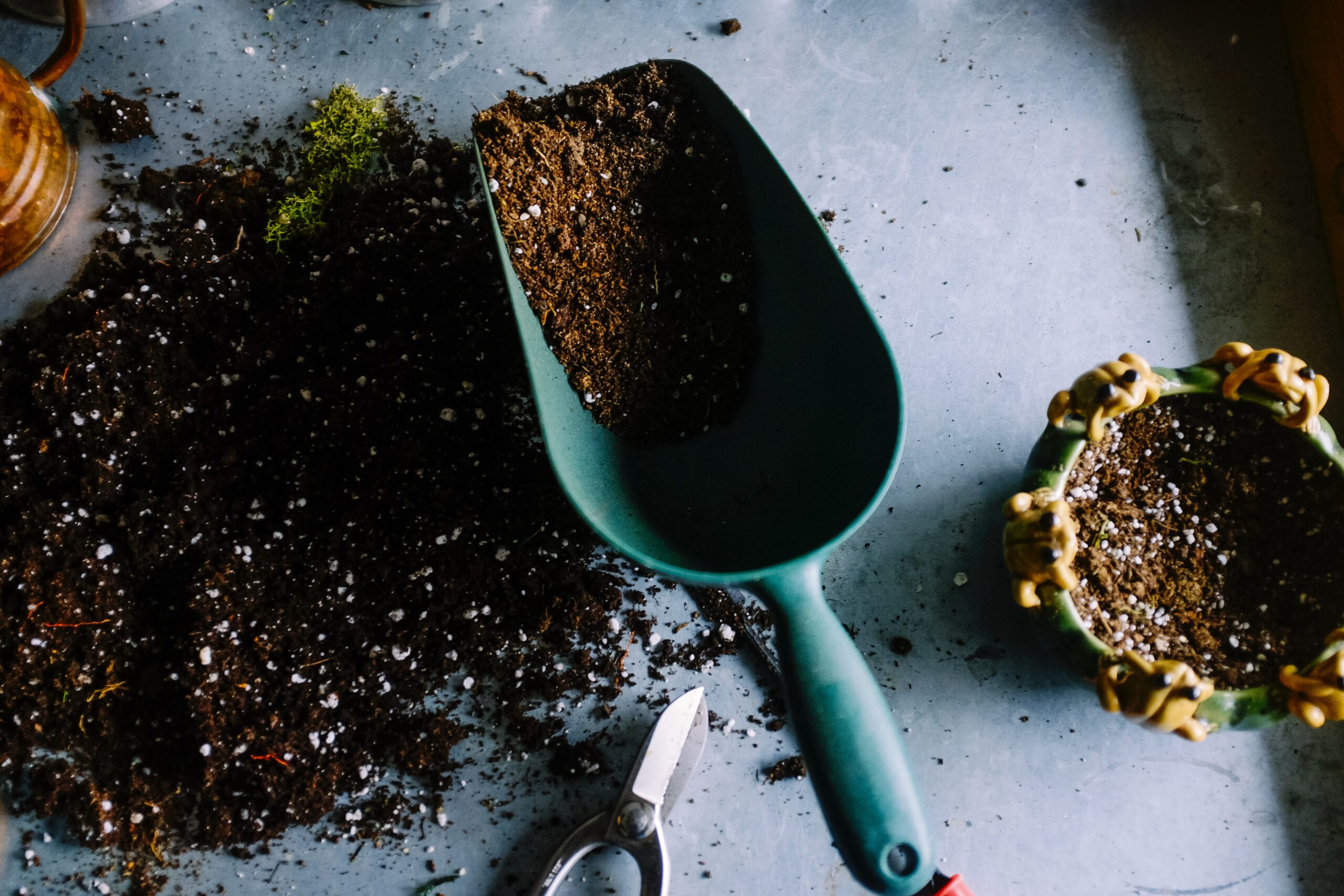 soil in a trowel on a table.