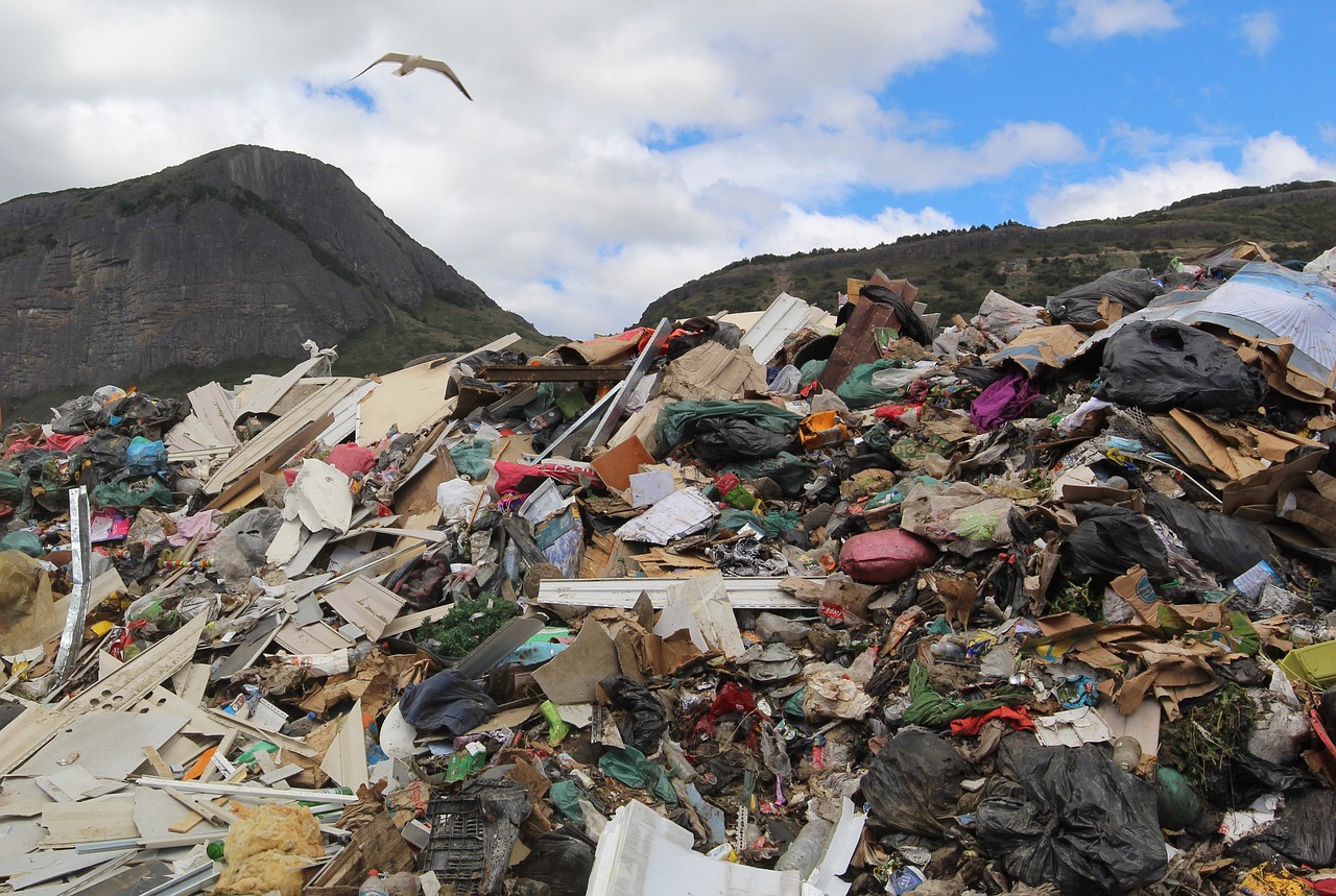 seagull flying above piles of landfill waste.