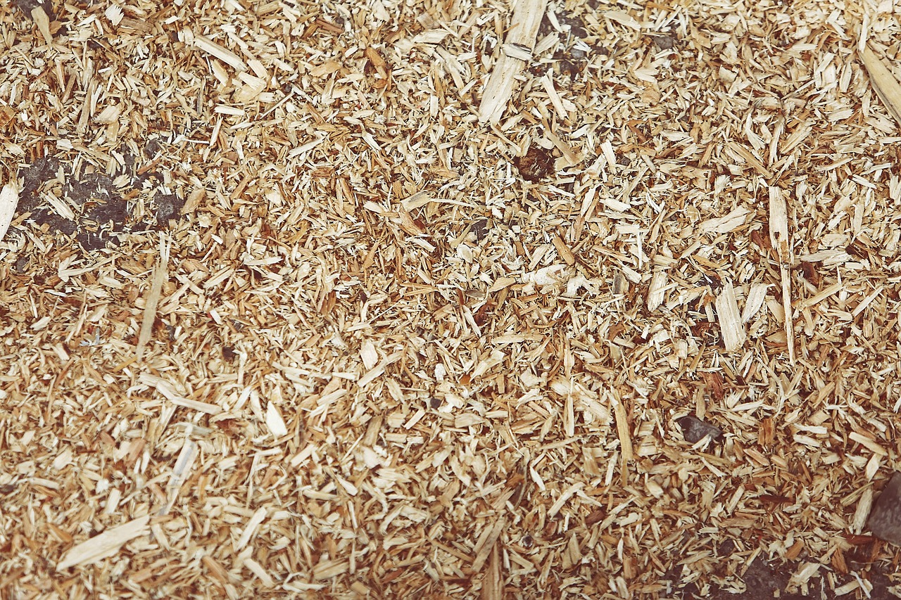 sawdust.