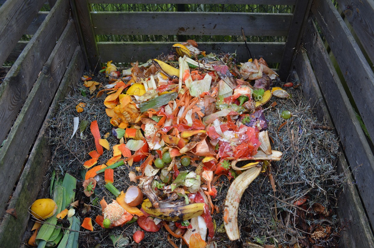 compost bin in garden.