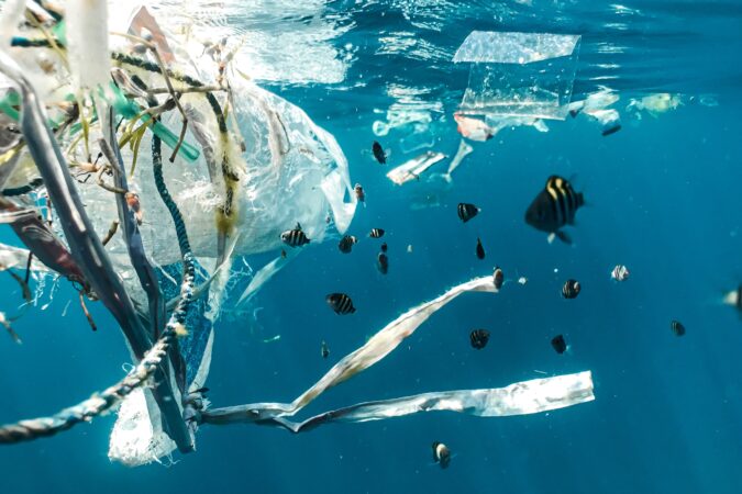 plastic in the sea with fish swimming next to it.