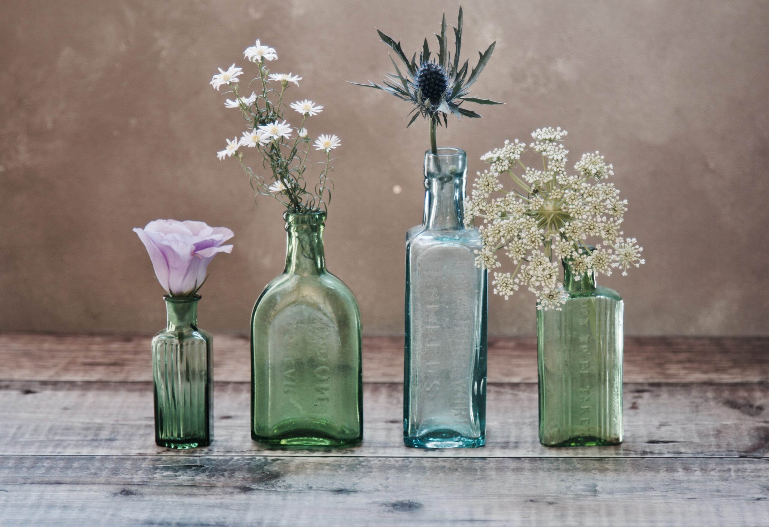 plants in glass bottle vases.